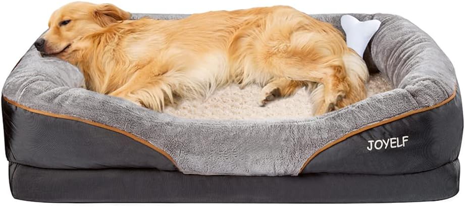 Tail-Wagging Comfort Starts with Joyelf