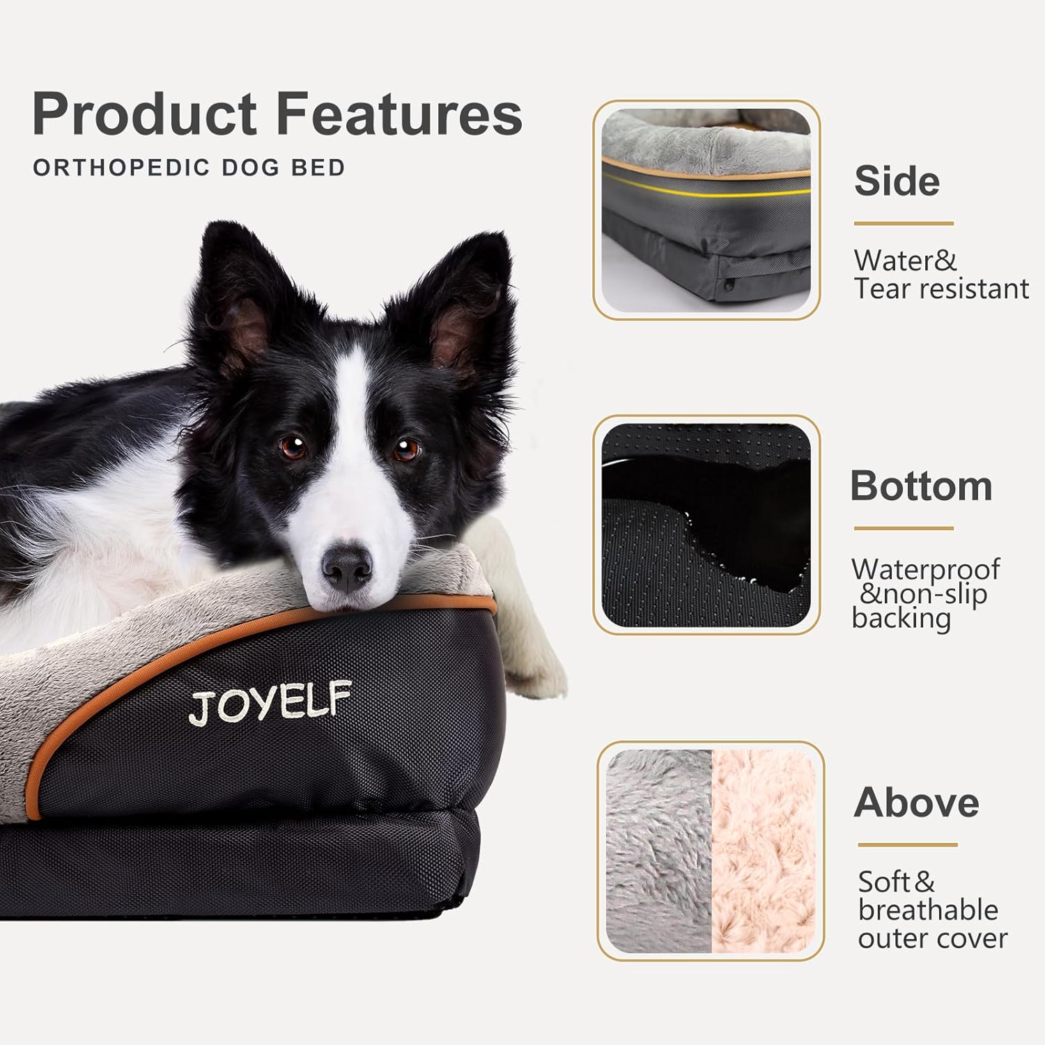 Why Choose Joyelf?
