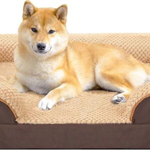 JOYELF Orthopedic Dog Bed for Medium Dogs